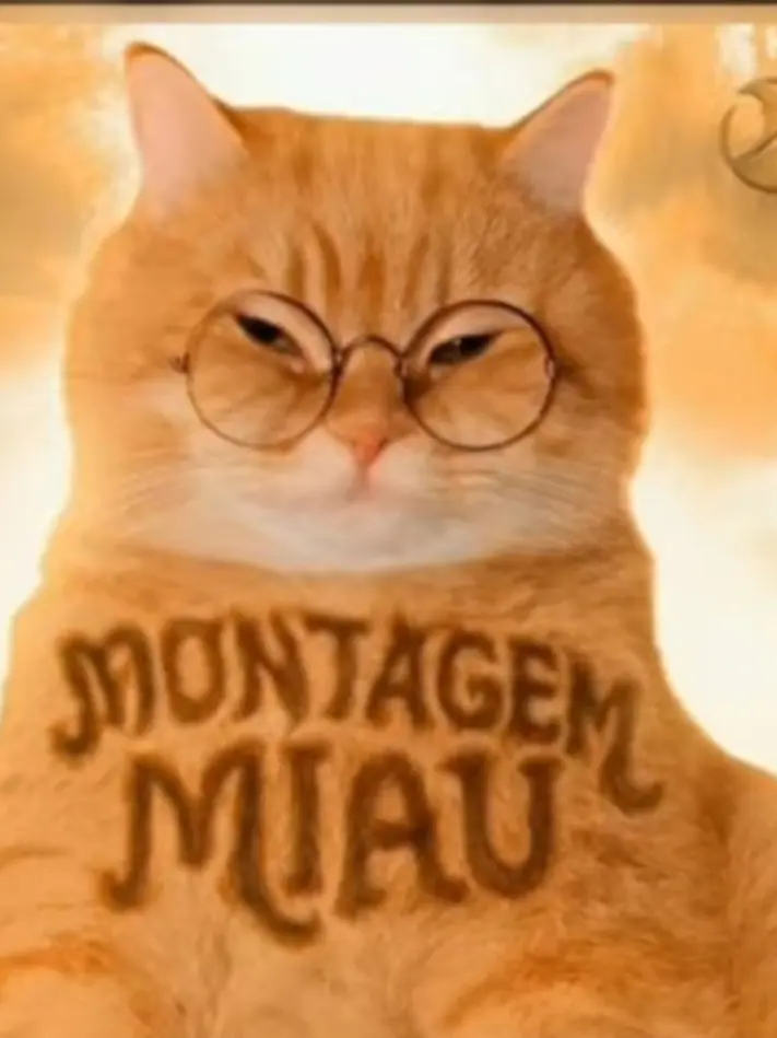 BigPotoo2432의 냐옹을 왜함?