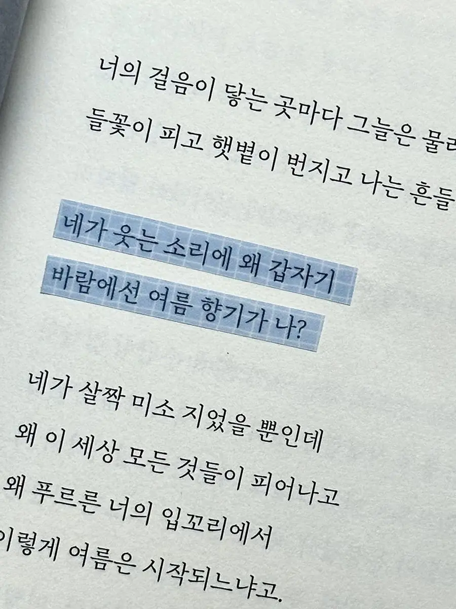 chigiri._.44.4의 그대는 나의 여름이 되세요