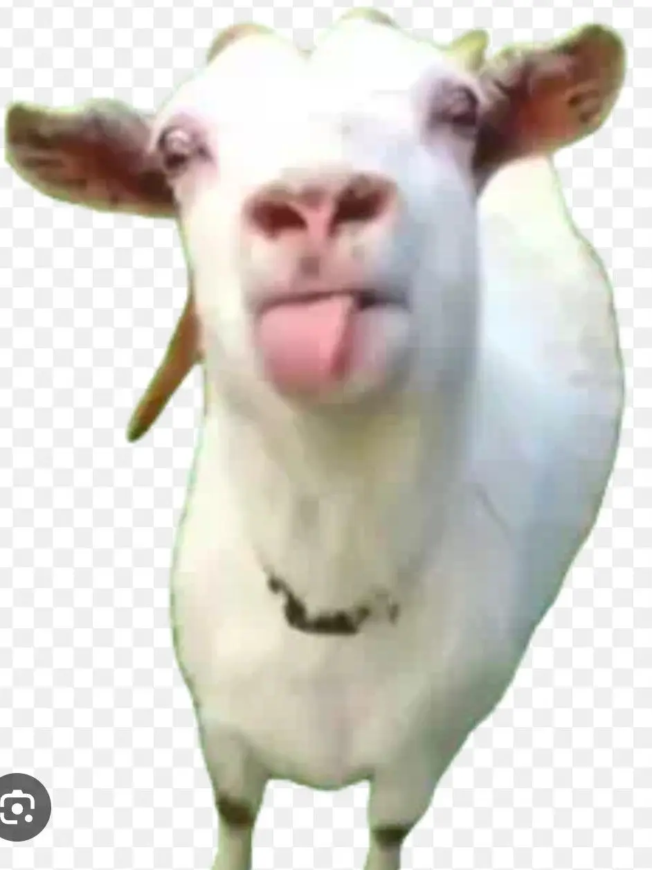 LovelyGirl3686의 \\\\\☆動物園☆////