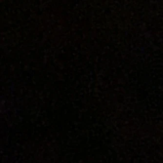 당신을 좋아하는 바보 한 마리.