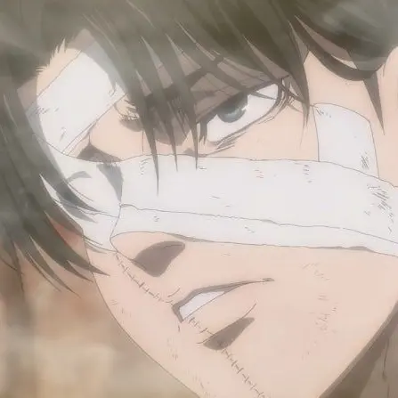 ge._.to의 리바이 아커만