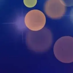 BaldXerus0938의 兄弟ならば…