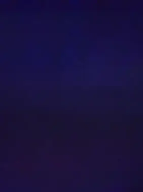 VoicedZebra8432의 홍우진