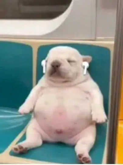 morutes의 Boiihhsbdhs
