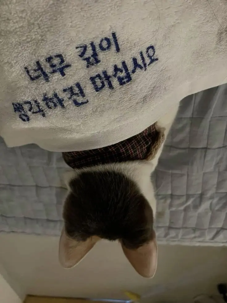 munja_0911의 0107