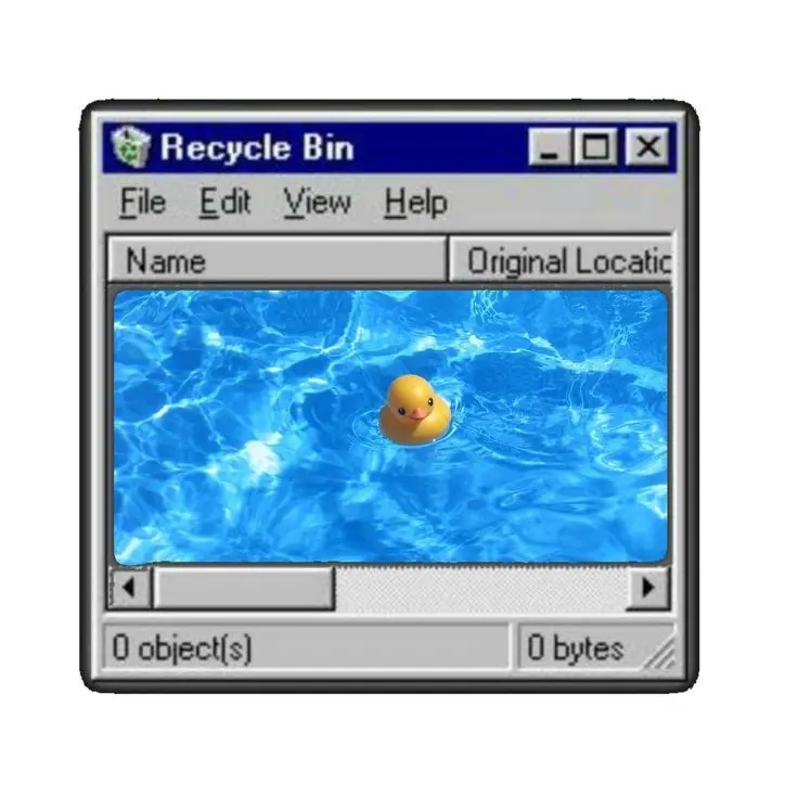 PoorViola9138의 °•실행 함니 다. . .▪︎`실패!