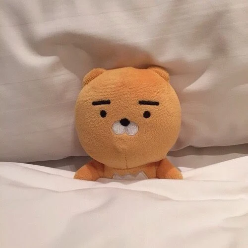 라이언
