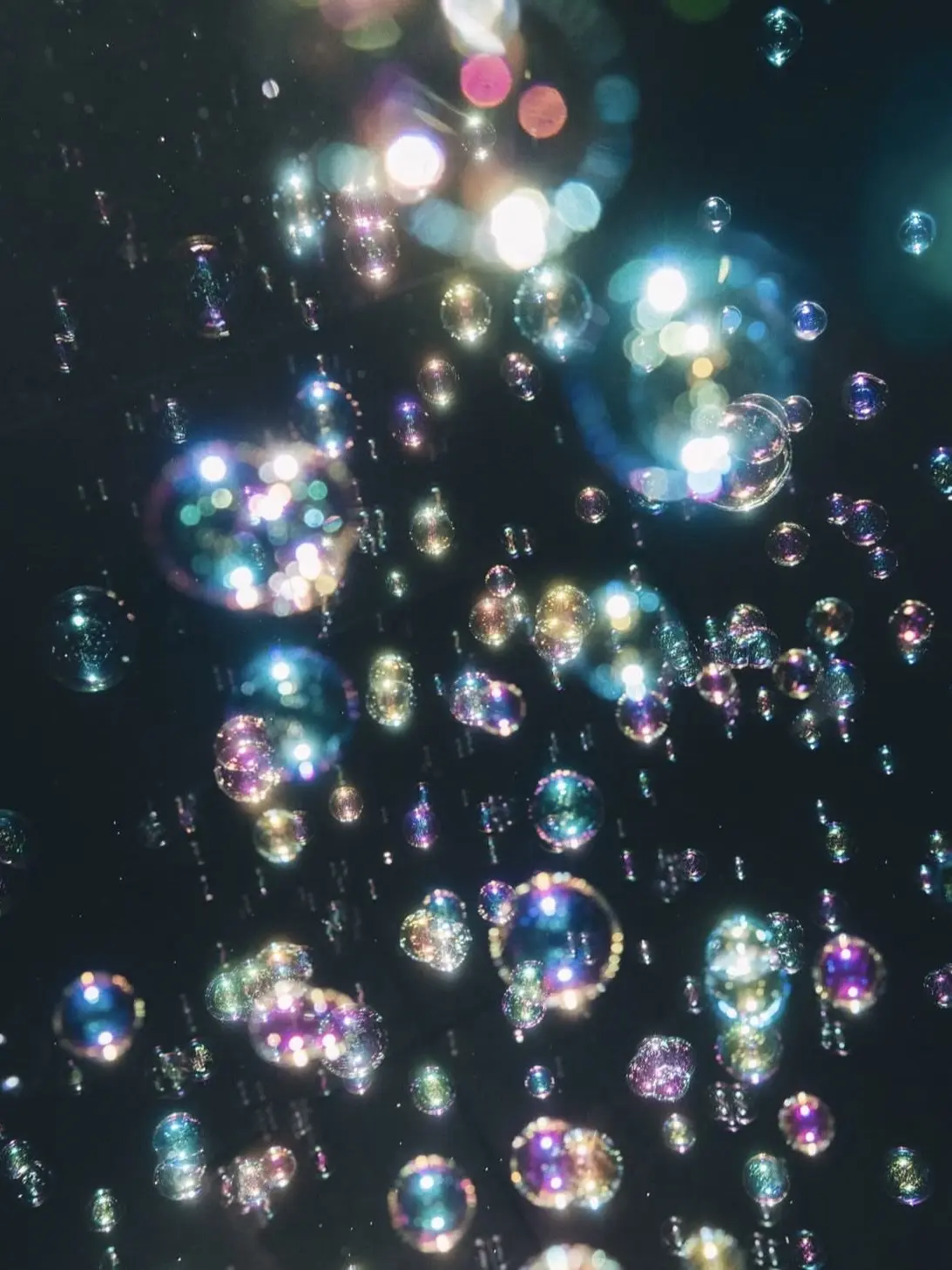 r___의 魔法学校