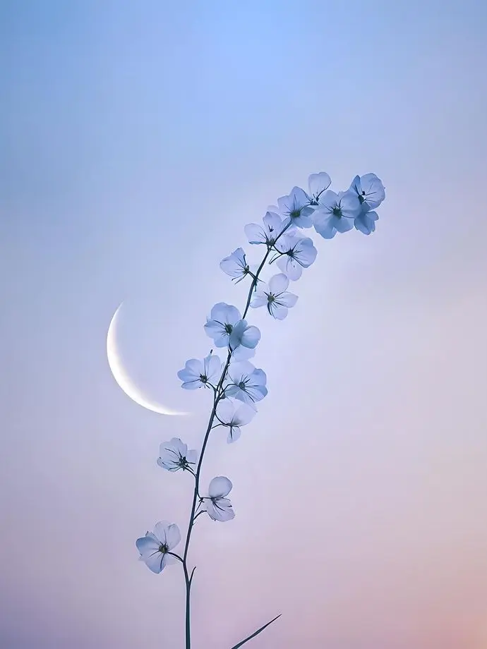 SuperbGems0284의 초능력세계여행