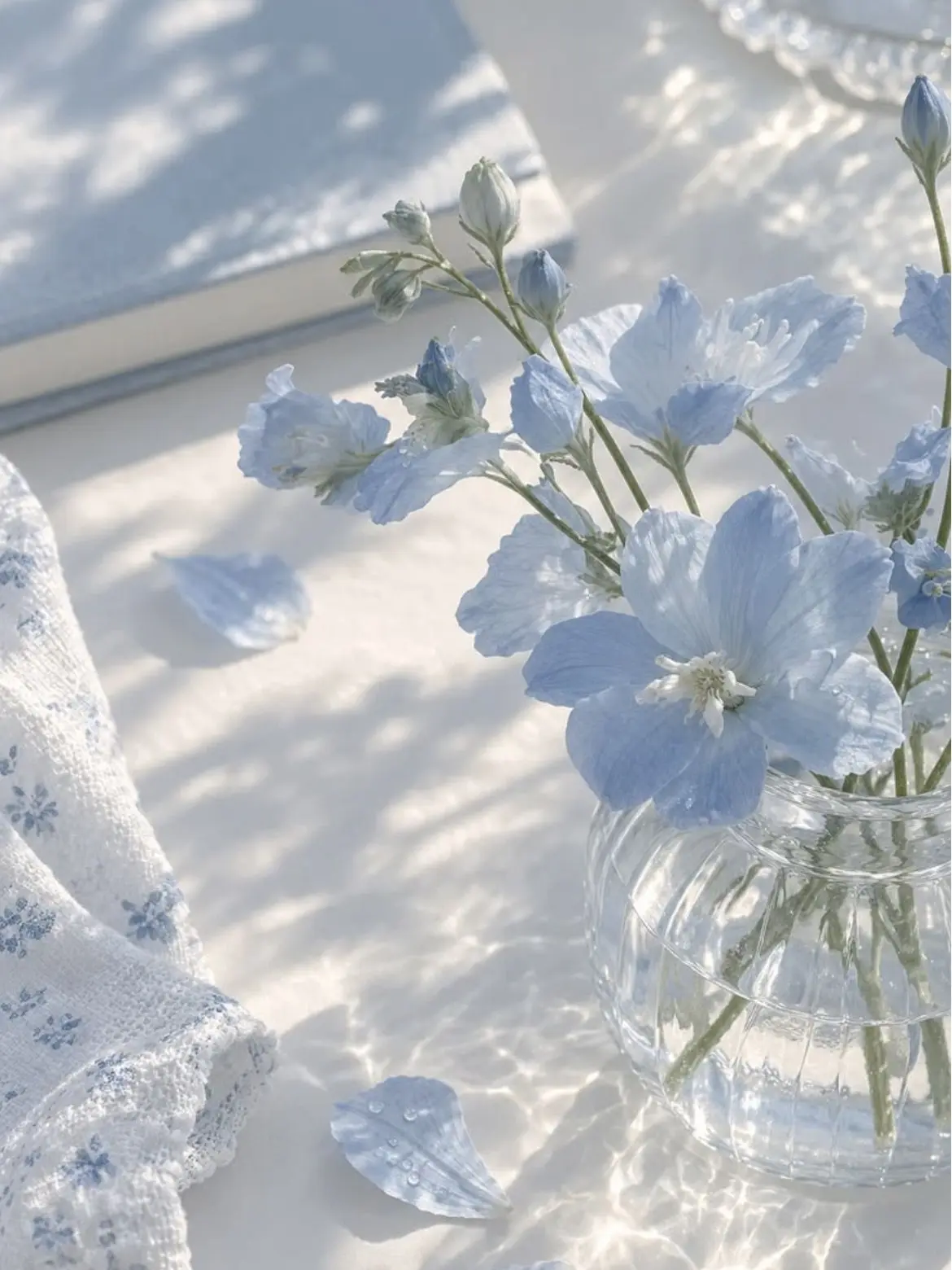 Paradise_h의 파이브