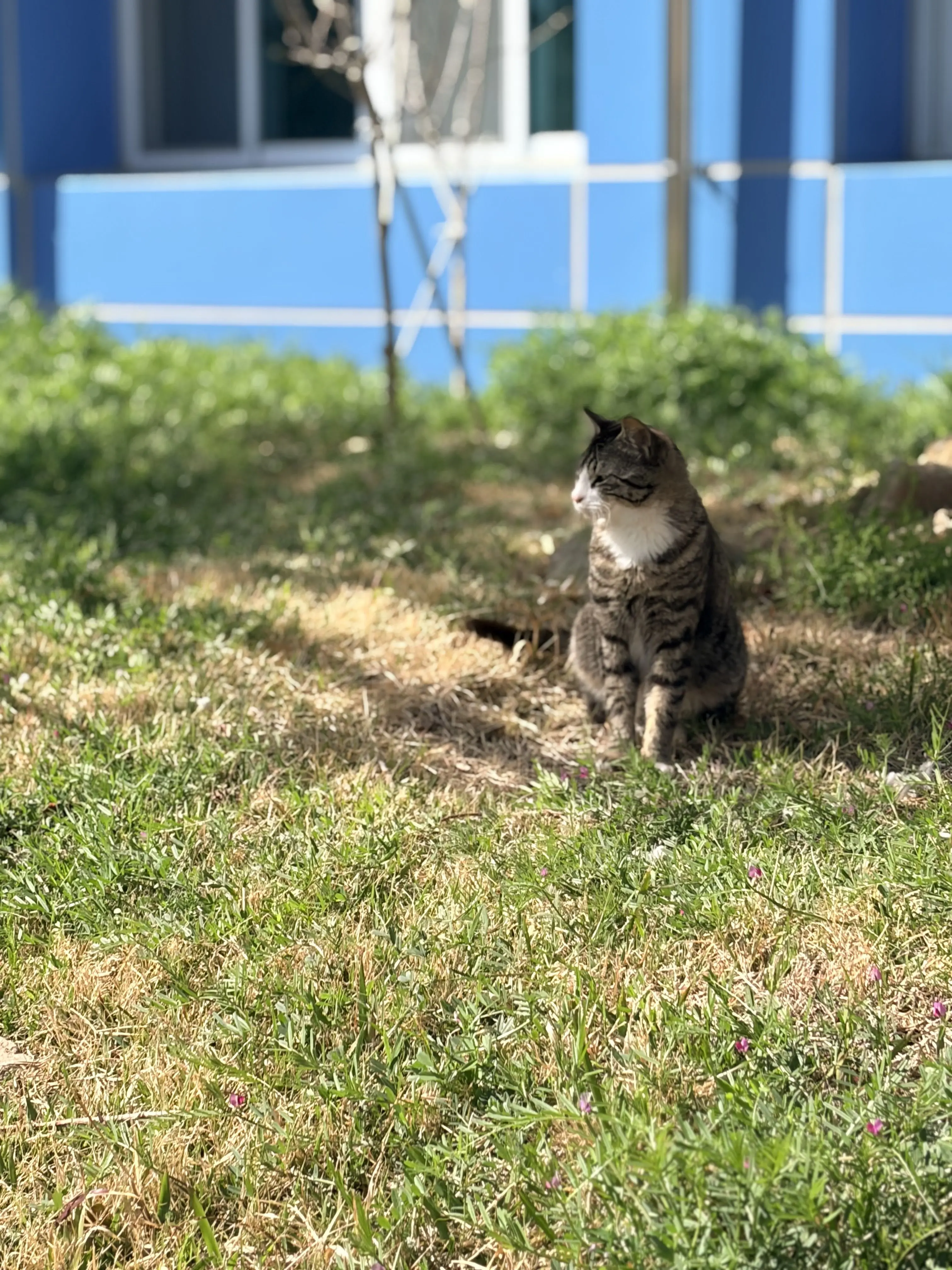 FluffyBread3721의 아빠 윤도운