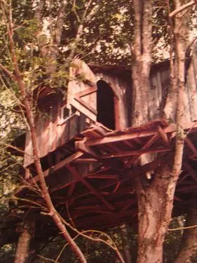 Zieki_z의 The treehouse
