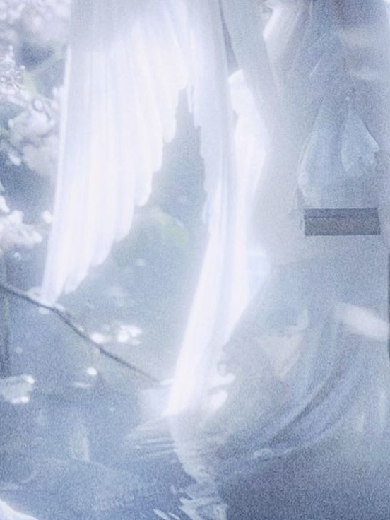 P. 수호천사 대표 이미지