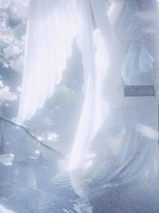 VIVA.의 P. 수호천사