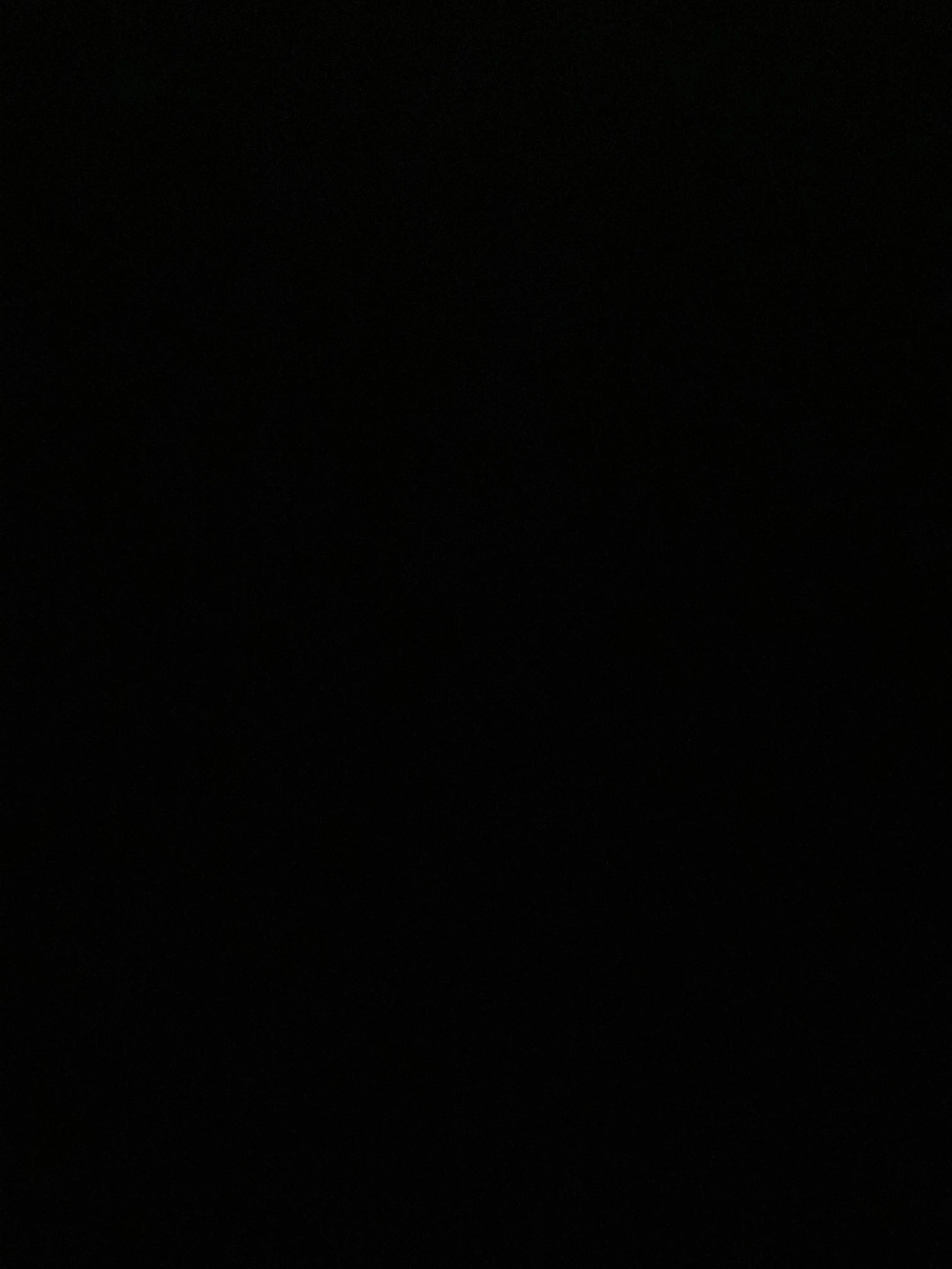 tillwedie의 장한음