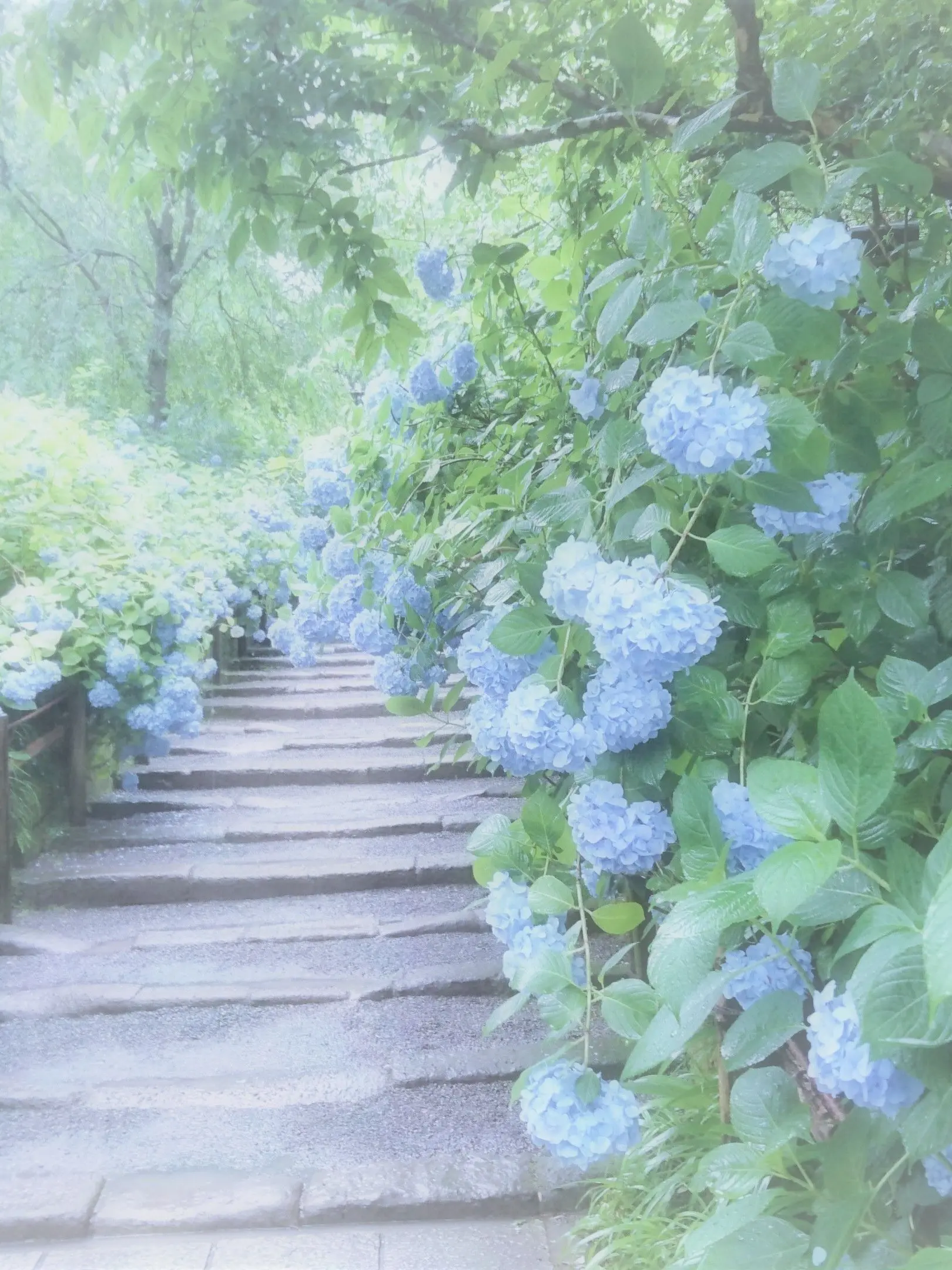 Alice_love의 반복되는 ██로부터 당신을 구하고 싶어.