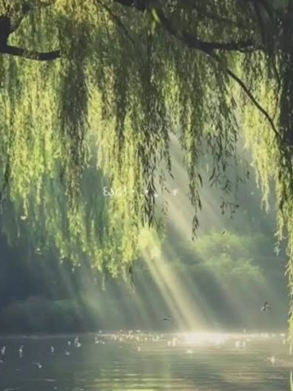 Fqgwuqiqj의 미스터리수사반 오해