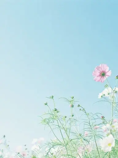 chiro_zero의 世界は残酷だ