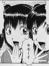 Kitigaiemoji의 おしまインザミラー!!
