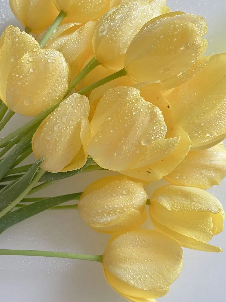 PARADISE_0215의 0926