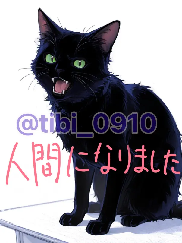 tibi_0910의 ⟡.·𝜗𝜚