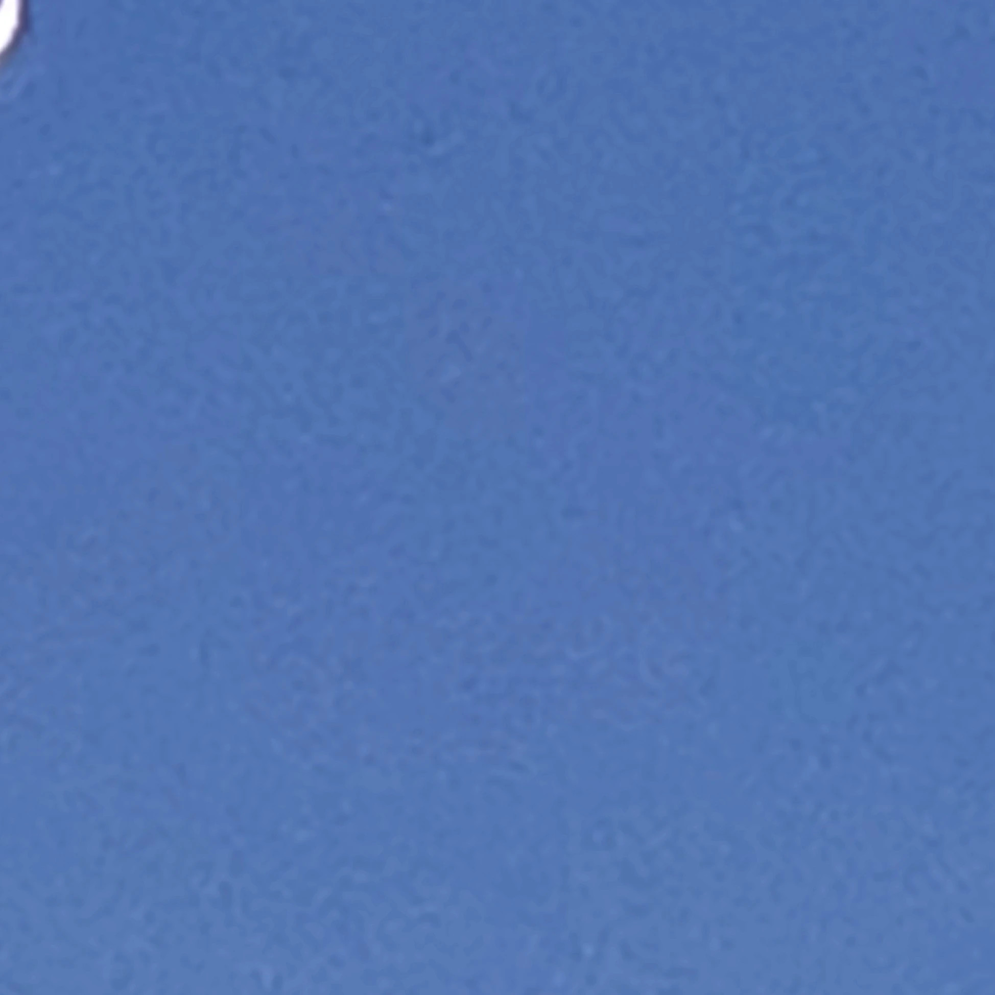 장카설과 학교생활