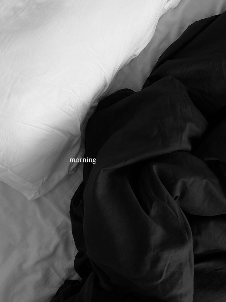 ︎ 대표 이미지