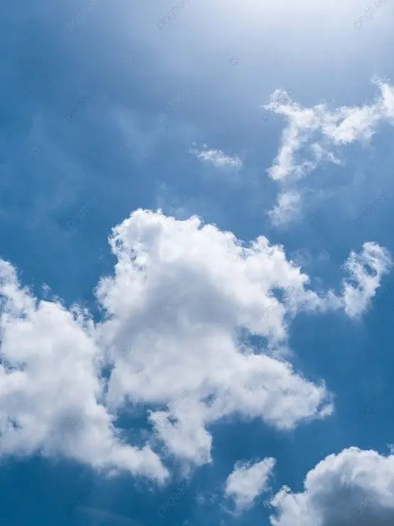 CoralRelax4421의 밀그램 수인보호소