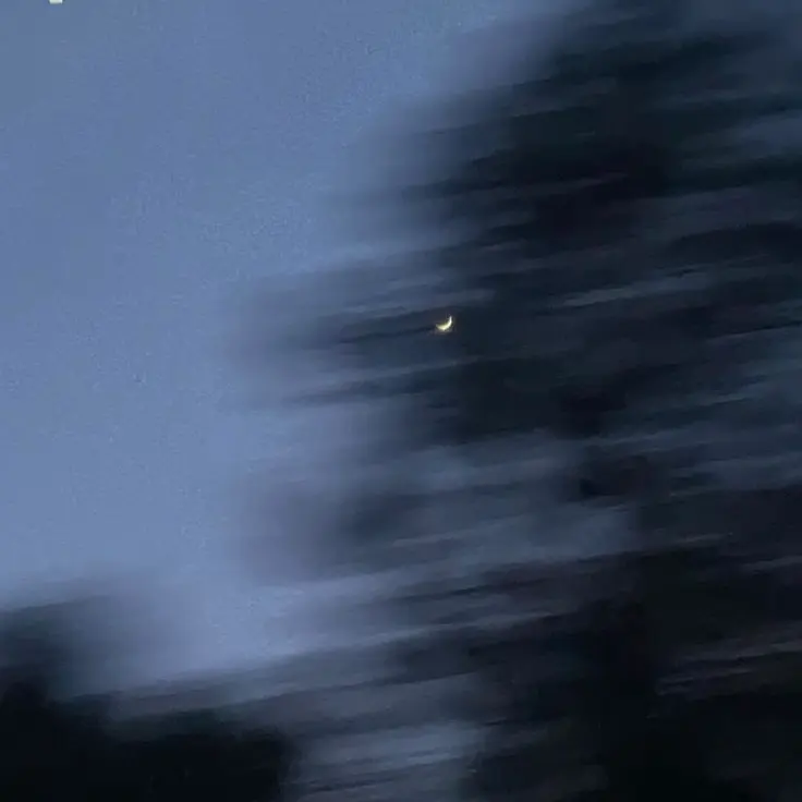 Love_Benson_Boone의 백지헌