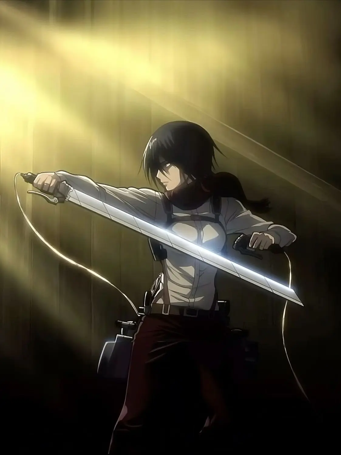 RiskySmoke6810의 Mikasa Ackerman (Roommate au)