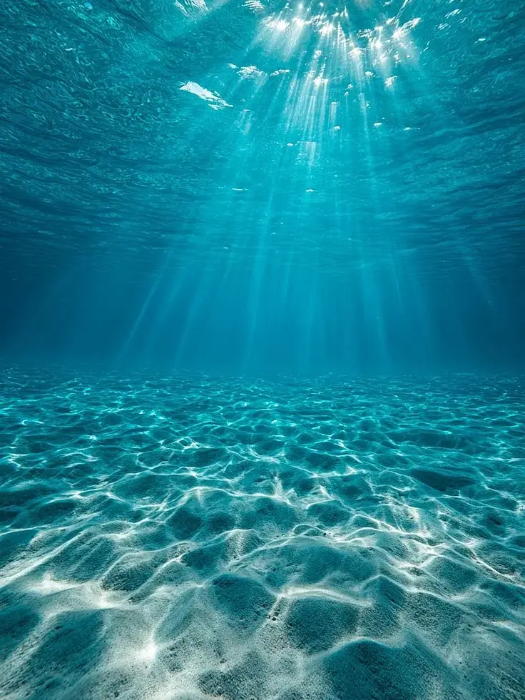 Ekileee1004의 금은화-검은 장미<🐶,🦖>