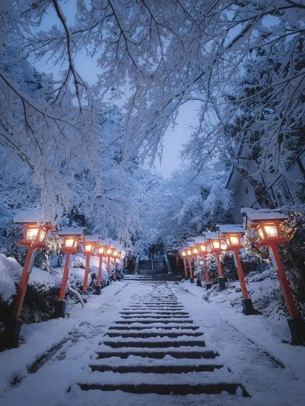 NeedyBatik7464의 雪住み世界が違う私と貴方の方向性は…？