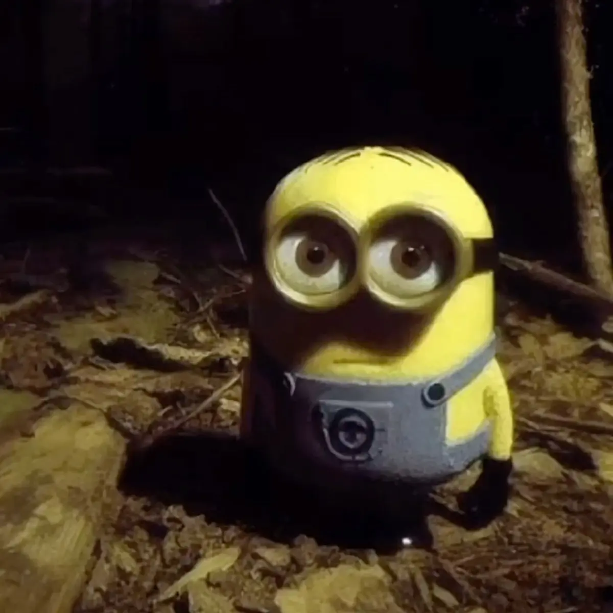 PotentBasil3067의 당신을 아주아주 싫어하는 허지혁