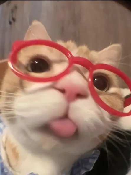 MiniEdit6105의 스키즈의 아이엔이 되어보자 !