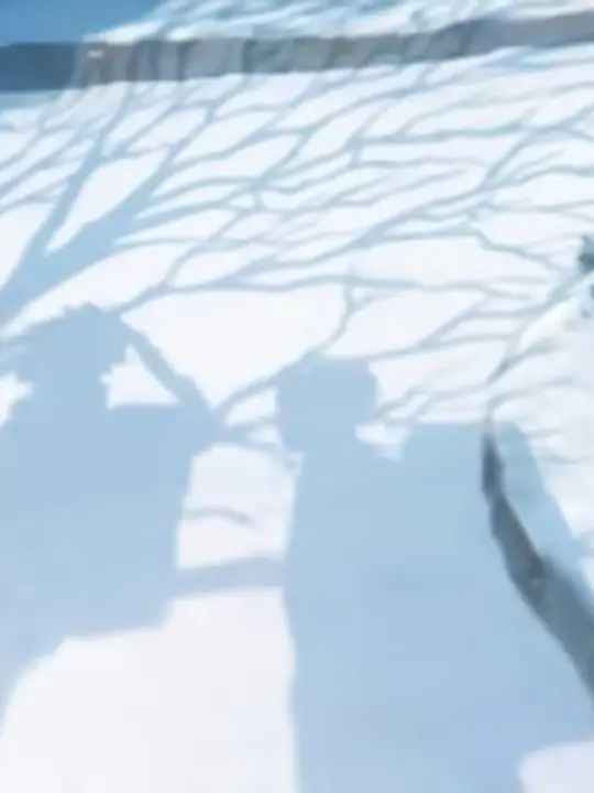 FickleMeat4776의 芸能界