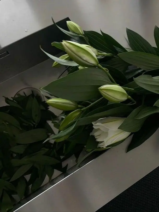 Blanked.love의 9011