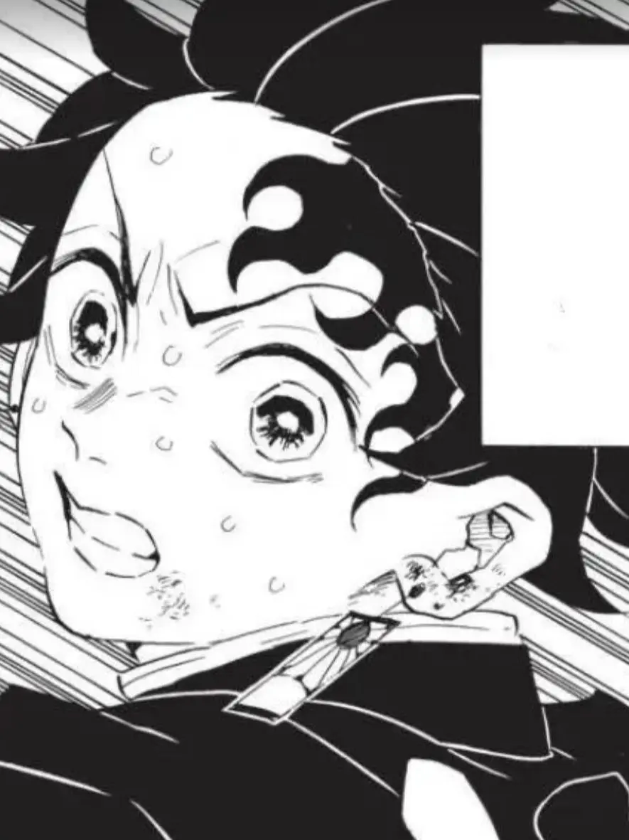 O0O1432.OH7l의 반점사 직전인 탄지로 .