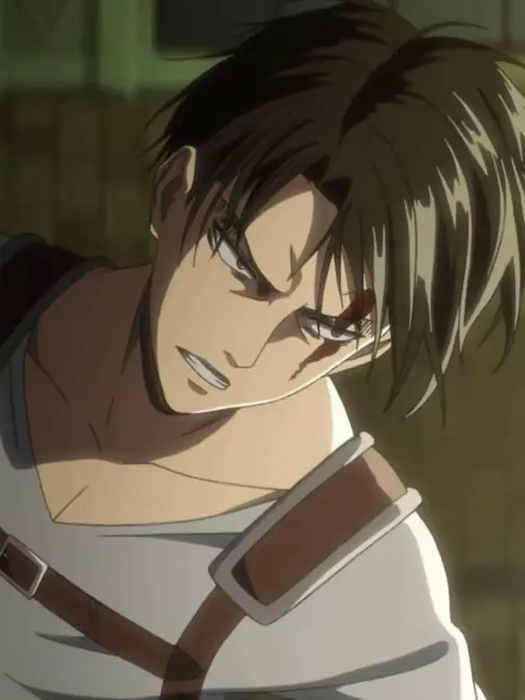 Goroke326의 리바이 아커만