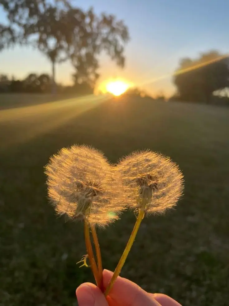baka_0925의 항상 고마운 친구.