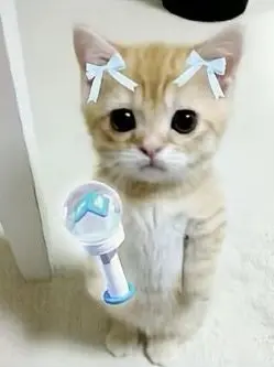 RuralPumi2948의 원_도_고