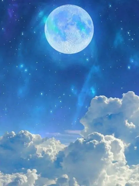 LovingNeck5709의 당신은 안웃는 얼음공주!