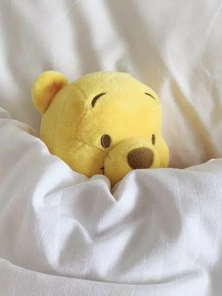 Plain_Yogurt의 평범한 인형 아니였어?