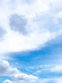 11332255577의 柔太朗が記憶を失った？！