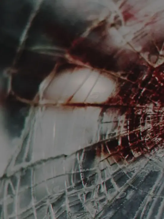 LemonyLedge1707의 화학무기금지협약(CWC)