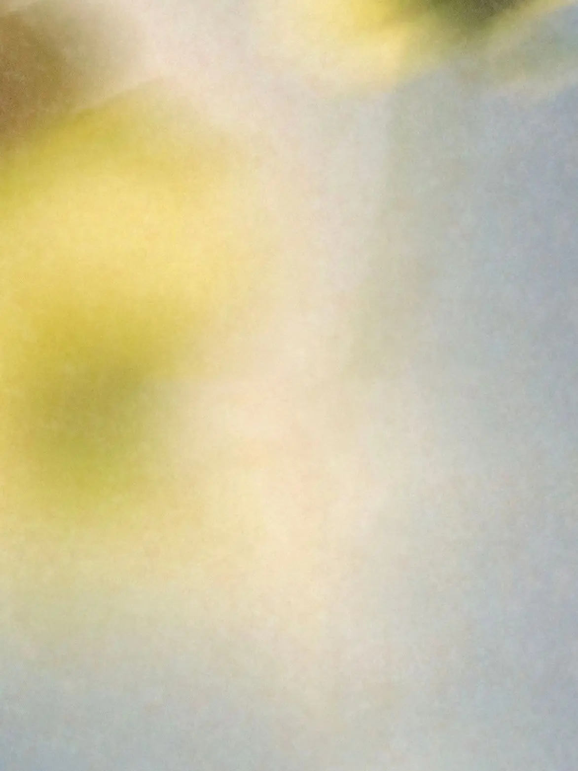 decadent.romantic의 ­­ ­­