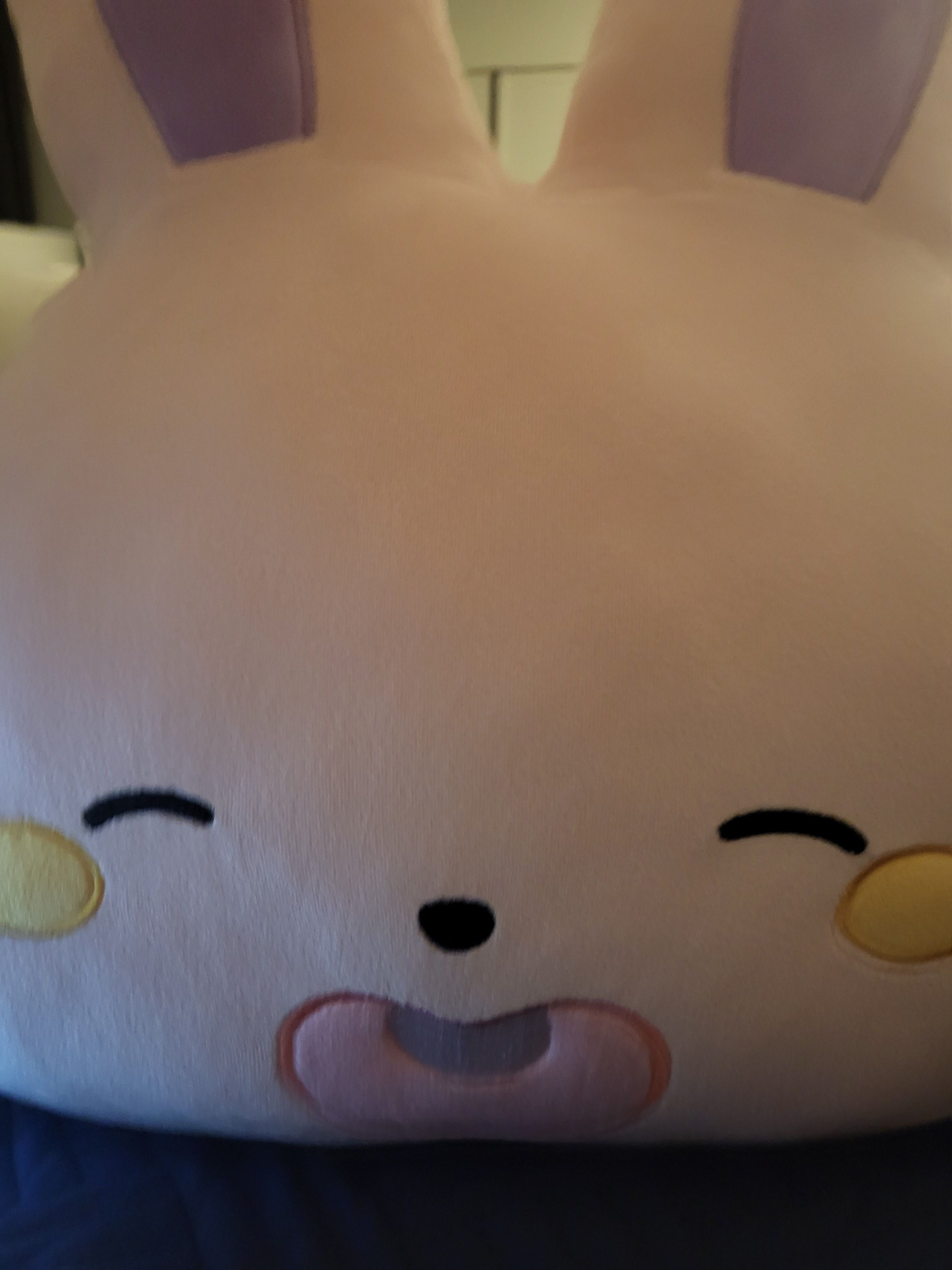 여러분들은 이 토끼를 아십니까??🐰 대표 이미지