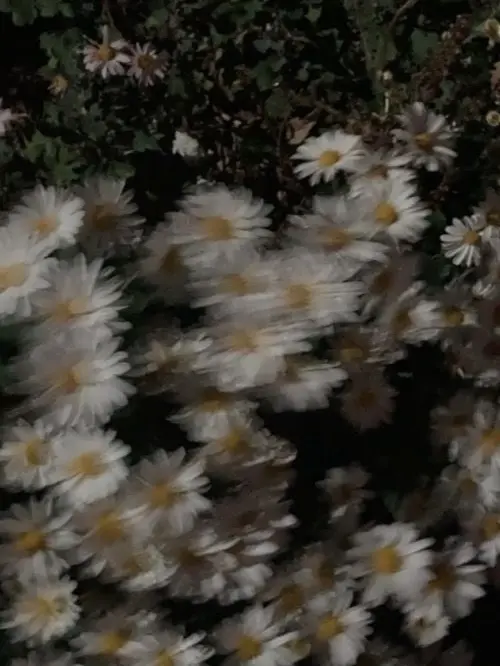 LEGODT의 사랑일까, 우정일까