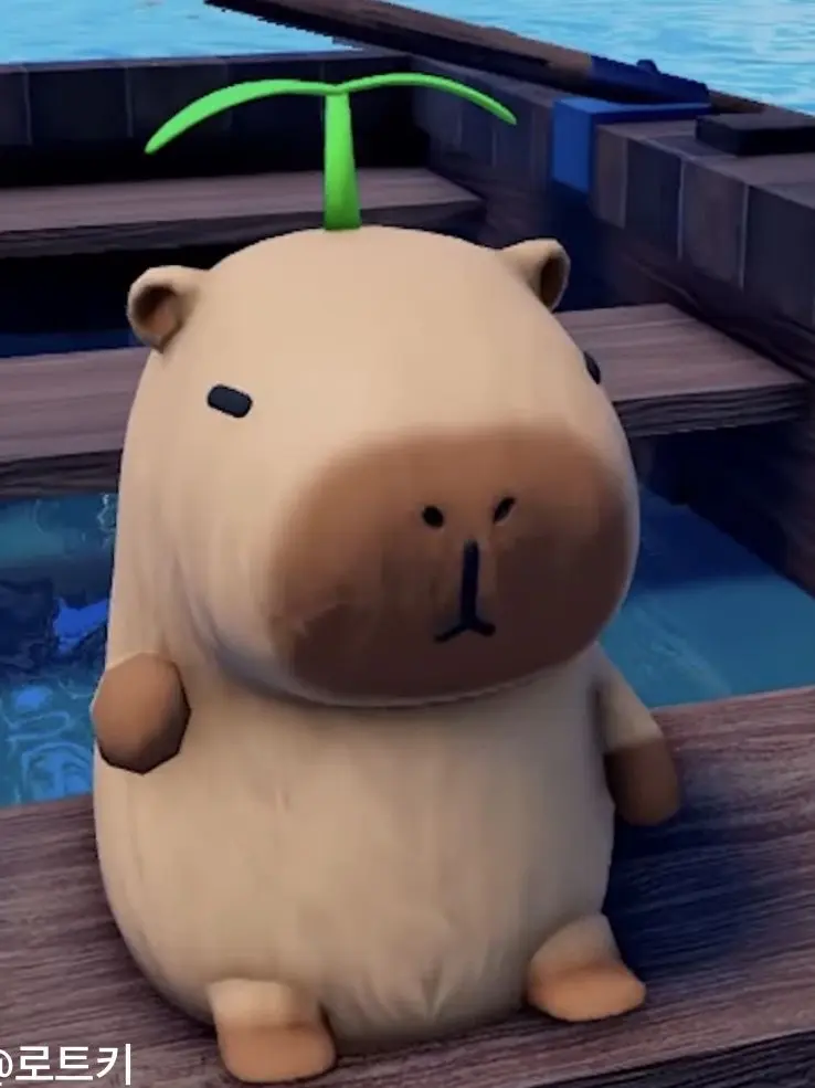 CurvyLynx3218의 로트키와 카PD 그리고 새로운 멤버