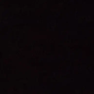 LULU24의 에이션트가족