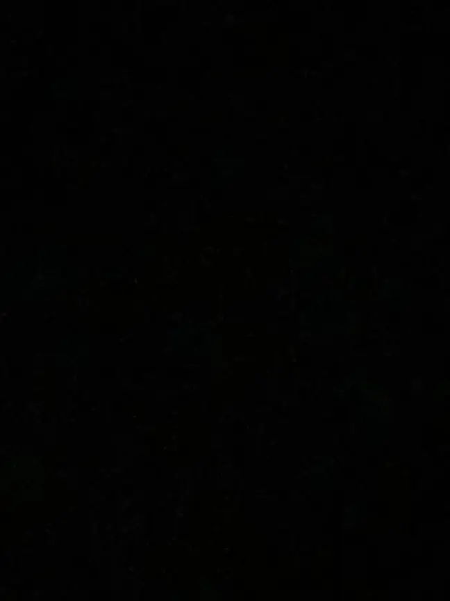 SharpAnts1715의 일진 남녀무리